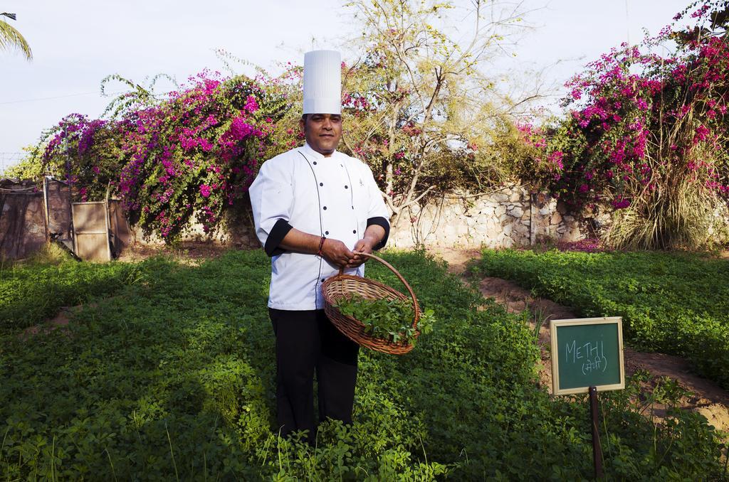 Pushkar Resort Kültér fotó