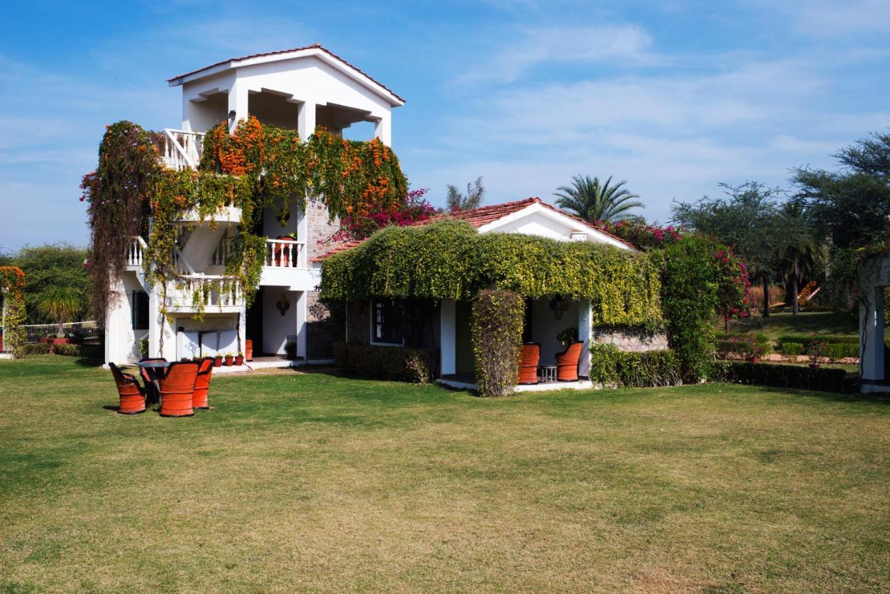 Pushkar Resort Kültér fotó