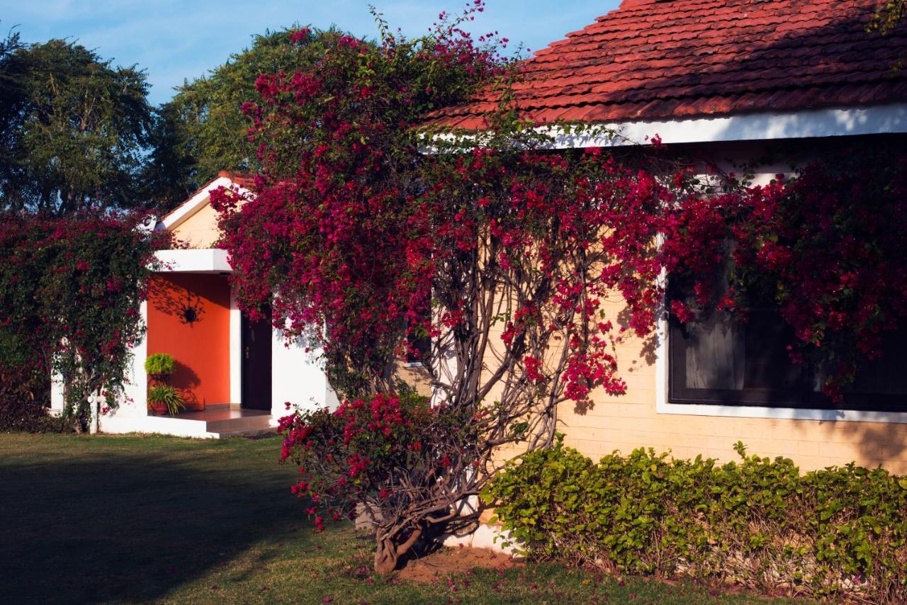 Pushkar Resort Kültér fotó