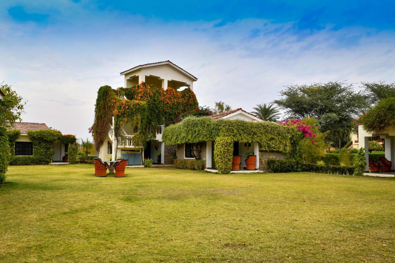 Pushkar Resort Kültér fotó